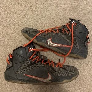 Nike Lebron Basketball shoes